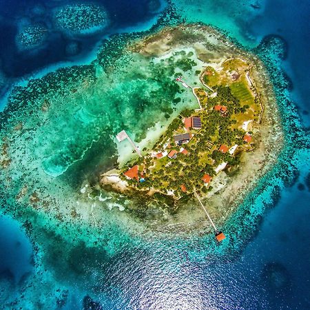 Hatchet Caye Island Resort (Adults Only) Placencia Exteriör bild