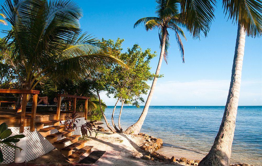 Hatchet Caye Island Resort (Adults Only) Placencia Exteriör bild