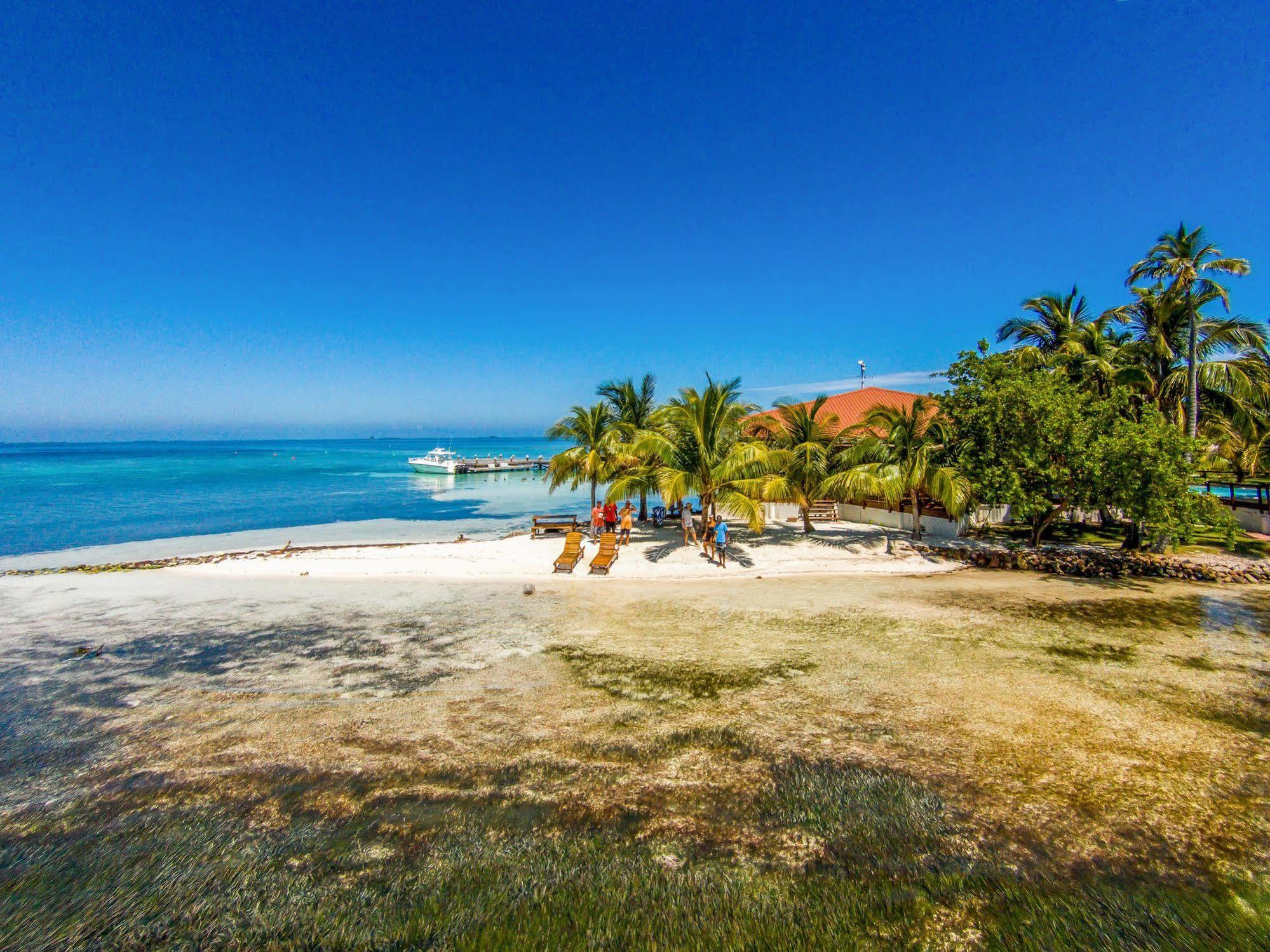 Hatchet Caye Island Resort (Adults Only) Placencia Exteriör bild