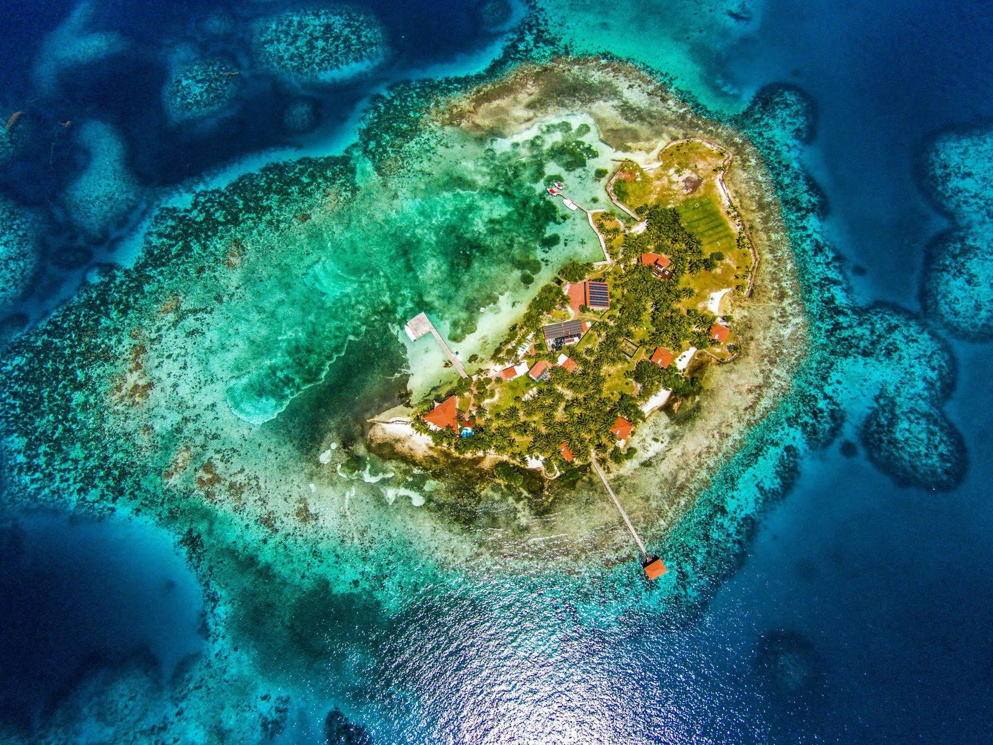 Hatchet Caye Island Resort (Adults Only) Placencia Exteriör bild