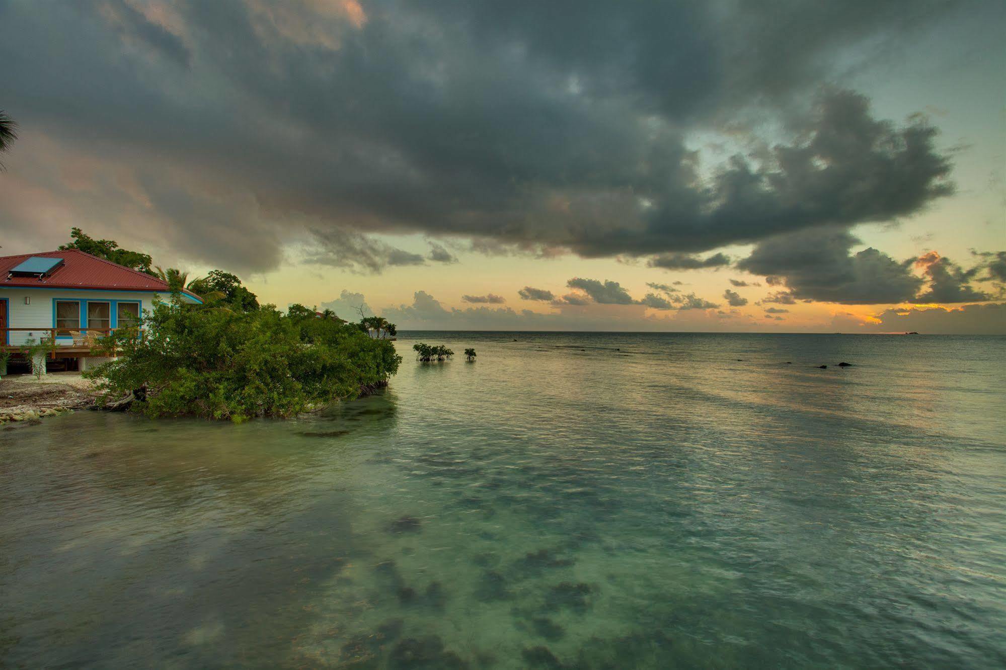 Hatchet Caye Island Resort (Adults Only) Placencia Exteriör bild